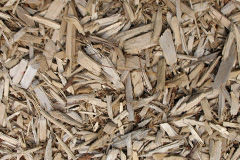 biomass boilers West Downs